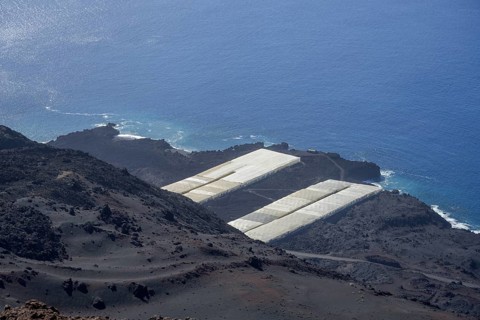 View of banana plantations from Teneguia volcano