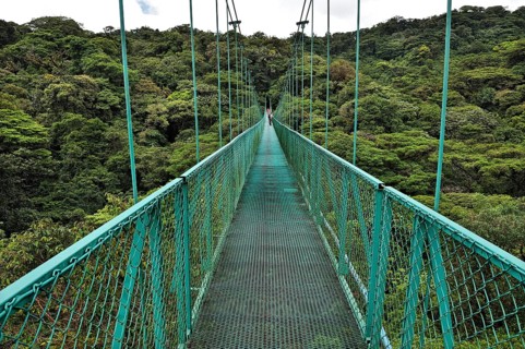 Suspension bridge and cloud forest in Selvatura Adventure Park