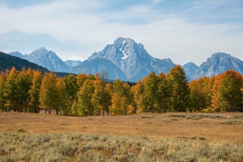 Mountain panorama of the Teton Range