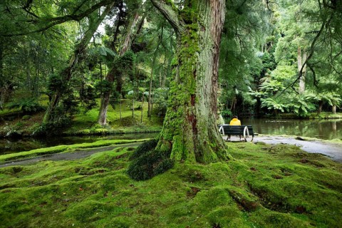 Botanical Garden