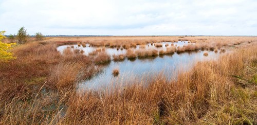 Landscape photograph Stapeler Moor