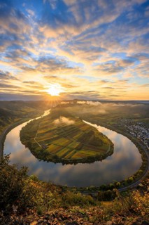 View over the Moselle valley