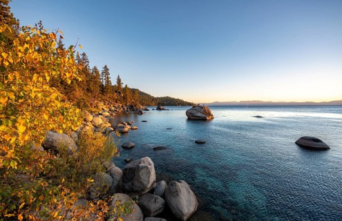 Bonsai Rock