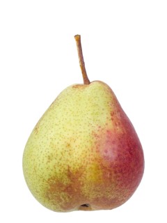 Pear variety Trout pear