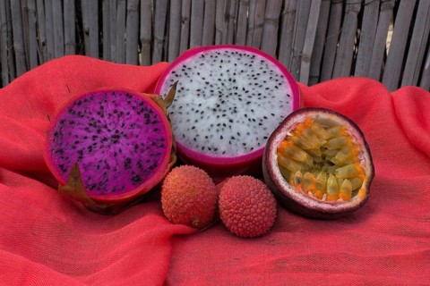 Halved white and red dragon fruit
