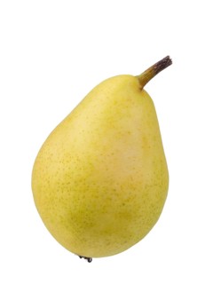 Pear variety Santa Maria