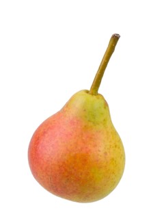 Pear variety Summer muscat pear