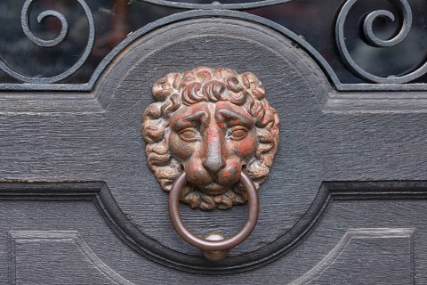 Lion's head as a door knocker on a gate from 1885