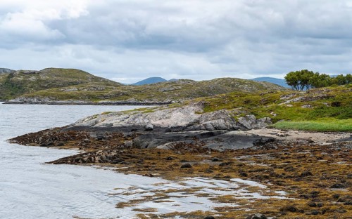 Landscape in fjord
