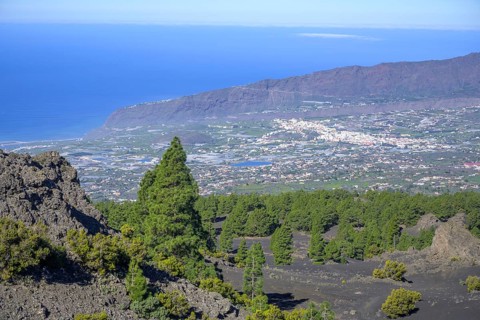 View from Mirador del Llano del Jable towards Los Llanos