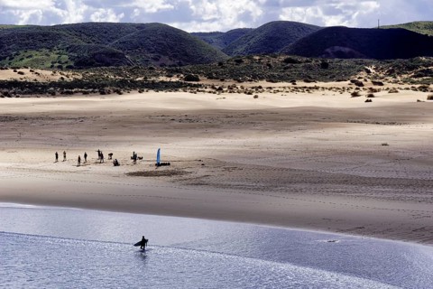 Windsurfers