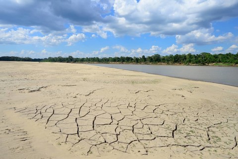 Dry sandbank at low water