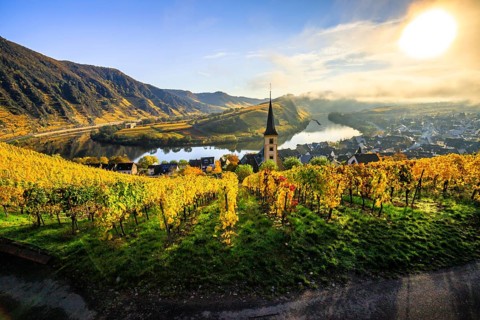 The village of Bremm on the Moselle