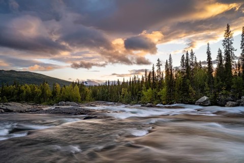Rapids of the river Gamajahka