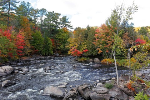 River