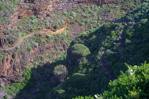 View from Mirador El Chorro