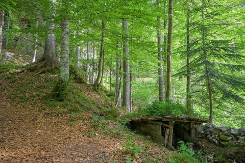 Simple shelter near a trench Themed trail Grande Guerra on the battles of World War 1