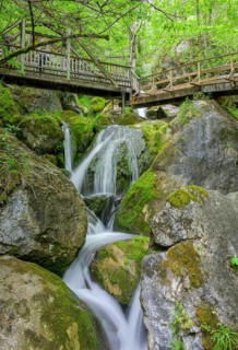 Myra Falls