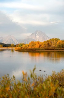 Mount Moran reflected in Snake River