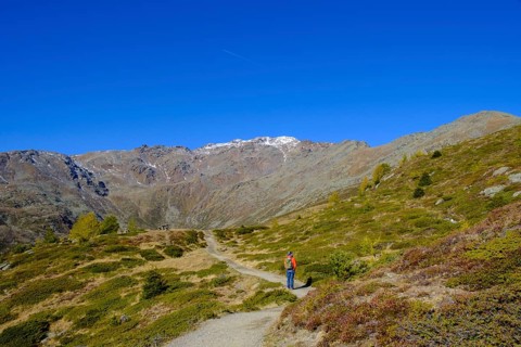 Hikers on the Waldburnnenweg