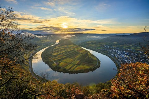 View over the Moselle valley