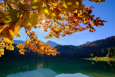 Alatsee near Fuessen