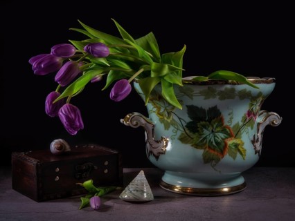 Still Life with Purple Tulips