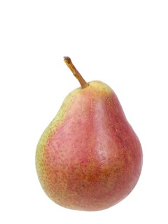 Pear variety Trout pear
