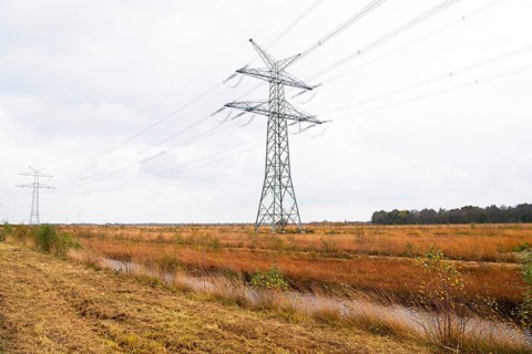 Power line runs through moor