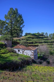 Beautiful old stone house with vineyard