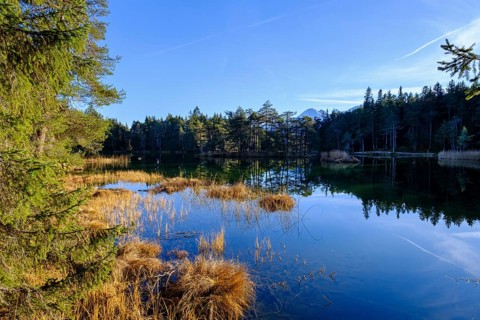 Moeserer See