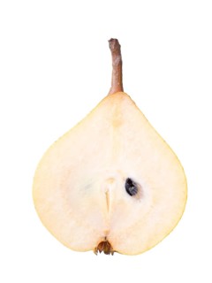 Pear variety Kirchensaller Mostbirne