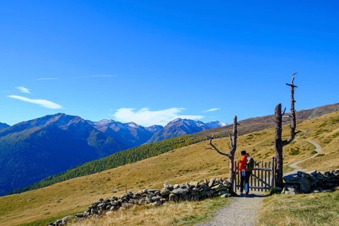 Hikers on the Waldburnnenweg