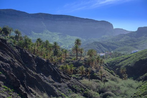 View to a palm grove below the village