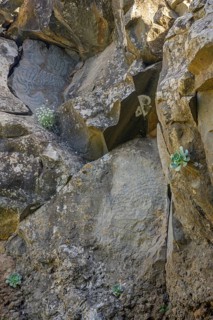 Rock carvings of El Cementerio