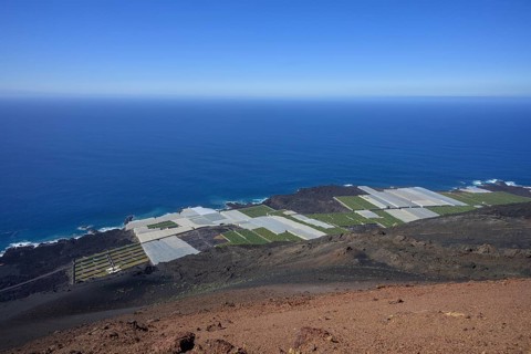 View of banana plantations from Teneguia volcano