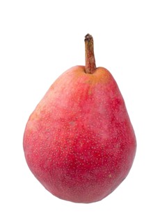 Pear variety Williams Christ red