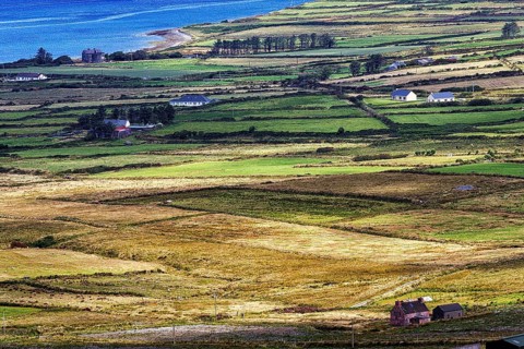 View from Coomanaspig Pass of meadows