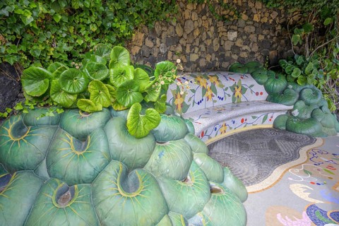 Monstera plant nature turns into art