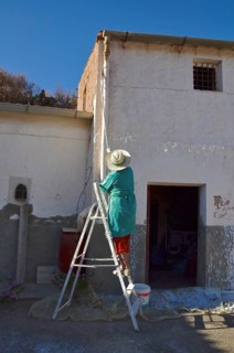 Woman on ladder painting her house