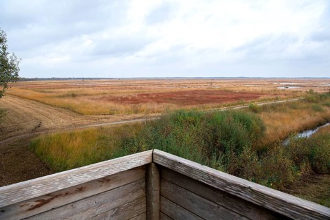 Landscape photograph Stapeler Moor