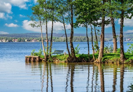 Landscape at Scharmuetzelsee