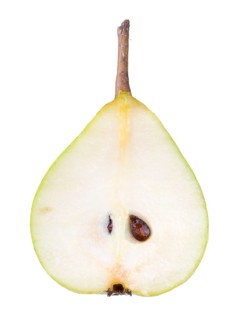 Pear cultivar Gruene Hoyerswerda