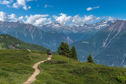 Landscape and hikers on the Panorama Trail