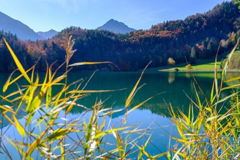 Alatsee near Fuessen