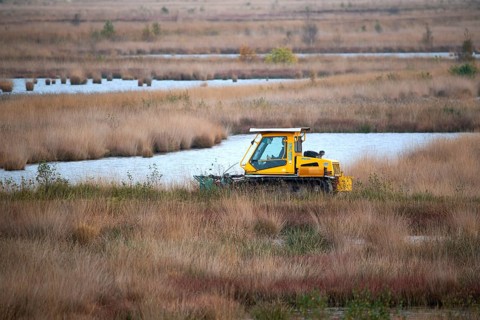 Peatland protection is climate protection