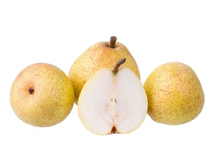 Pear variety Philips pear