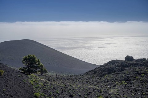 Hike to Teneguia Volcano