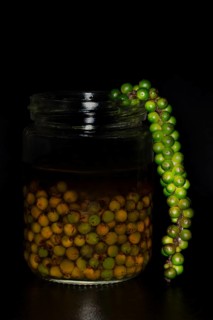 Freshly pickled green black pepper