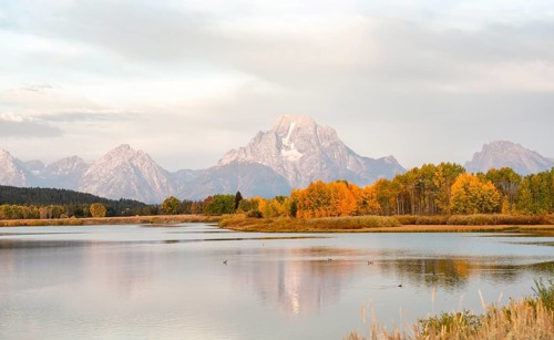 Mount Moran reflected in Snake River